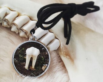 Woodland Bite - Deer Tooth & Bark Pendant