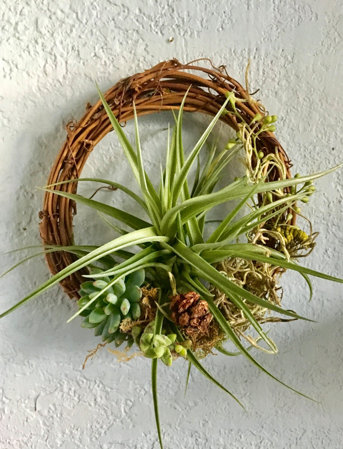 Living Wreath