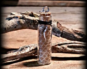 snake shed jewelry, snake shed pendant, snakeskin necklace