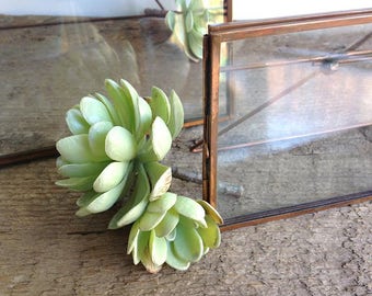 6 sizes Copper Easel Frame, Frame, Copper Picture Frame, Photo Frame, Clear Picture Frame, Wedding Table, Rustic Frame, 10x8 6x4, Glass Fram