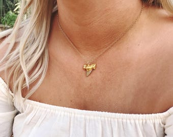 Shark Tooth Choker Necklace // Gold Filled necklace // Everyday Jewelry