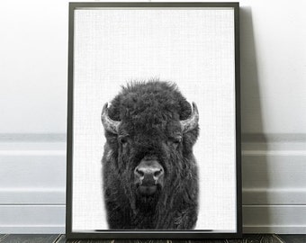 Buffalo Print, Buffalo Digital Prints, Buffalo Photography, Buffalo Photo Print, Printable Buffalos, Buffalo Wall Art Print, Buffalo Poster
