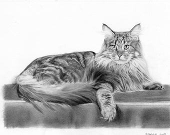 Custom pet portrait- graphite pencil drawing