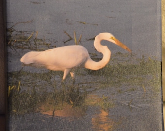 8x8 Egret fishing photo canvas print