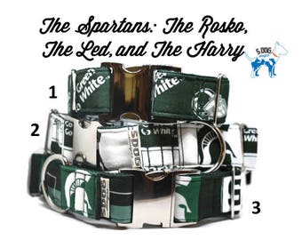 Green and White University Dog Collar, Martingale collar, Martingale Buckle, Metal Buckle Dog Collar, The Spartans Custom Dog Collar
