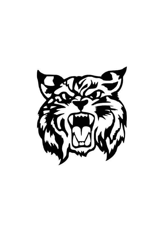 Download Wildcat Head Digital SVG File