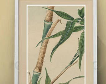 Bamboo Wall Decor bamboo wall art | etsy Bamboo Wall Decor bamboo wall art | etsy