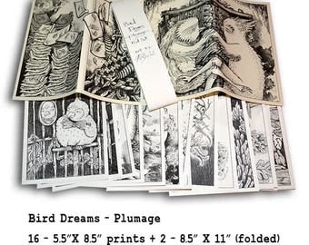Bird Dreams ~Plumage~ Art Zine Prints by Poxodd. Feather themed illustrations. Set with 18 different prints!