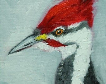 Bird painting 262 6x6 inch portrait original woodpecker oil painting by Roz