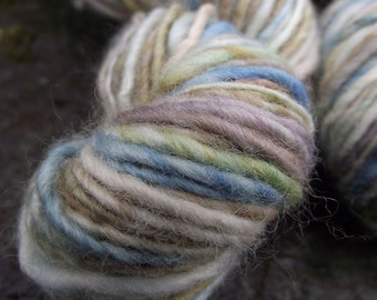 Handspun yarn, handpainted thick and thin, BFL wool, multiple skeins available-Beatrix