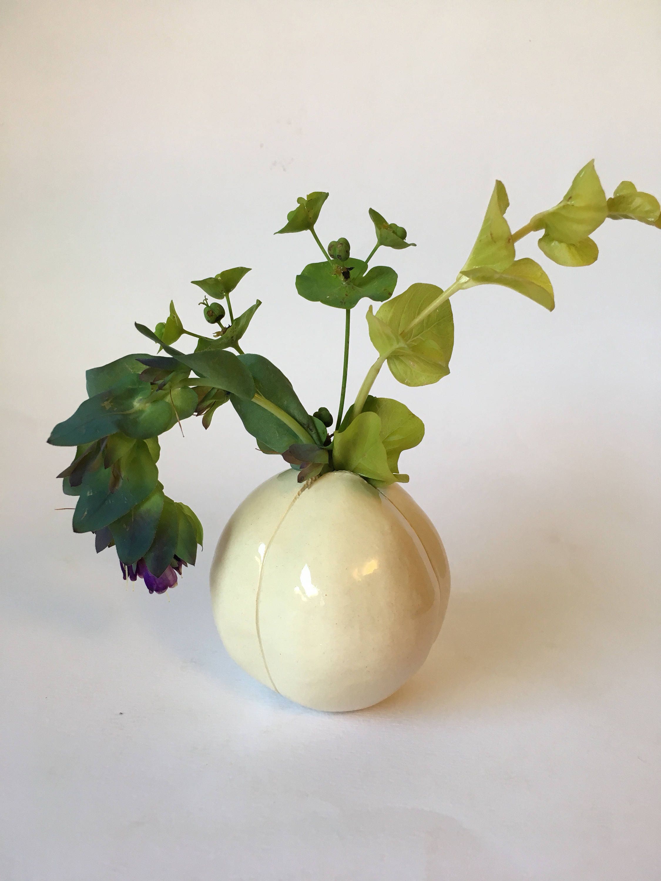Tiny Cream White Tulip Bulb Bud Vase