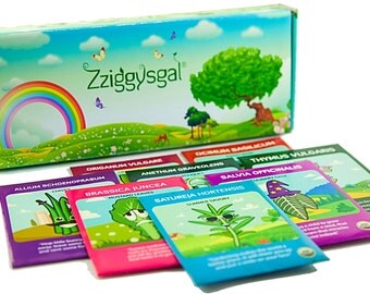 Giftbox of 9 different types of Untreated, Non-GMO, Non Hybrid Herb Seeds - Culinary Sage, Sweet Basil, Dill Bouquet, Cilantro & more