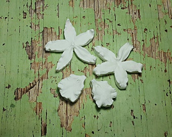 Ochid Odontoglossum Petal Double Veiner Silicone Mould Artificial Flowers