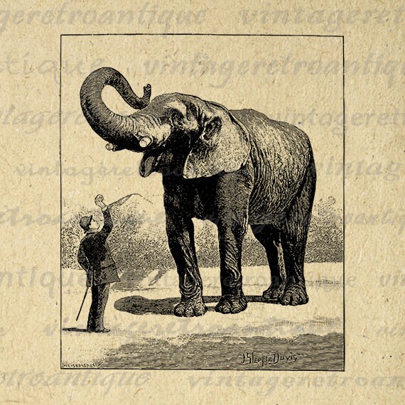 Items Similar To Digital Elephant Graphic Image Antique Download ...