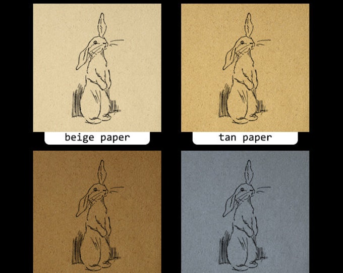 Printable Bunny Clipart Cute Bunny Art Nursery Animals Rabbit Digital Image Download Graphic Image Artwork Jpg Png Eps HQ 300dpi No.2848