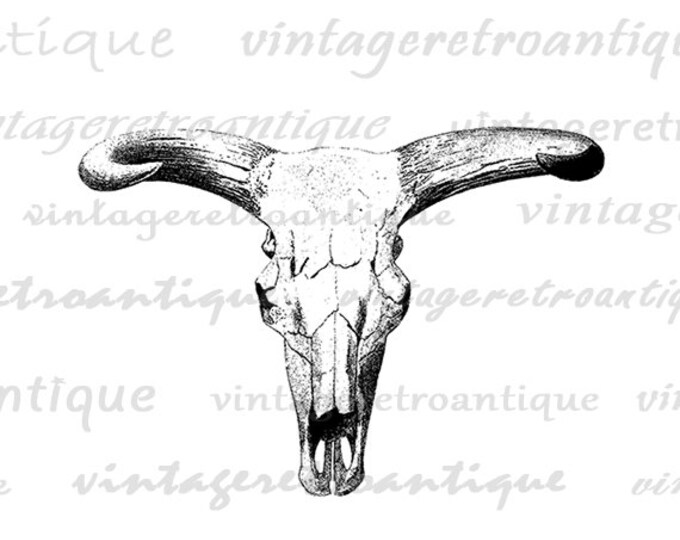 Printable Graphic Western Cow Skull Download Bull Horns Image Digital Antique Clip Art Jpg Png Eps HQ 300dpi No.552