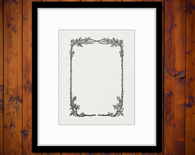 Printable Graphic Vine Leaf Frame Image Ornament Design Download Digital Antique Clip Art Jpg Png Eps HQ 300dpi No.4084