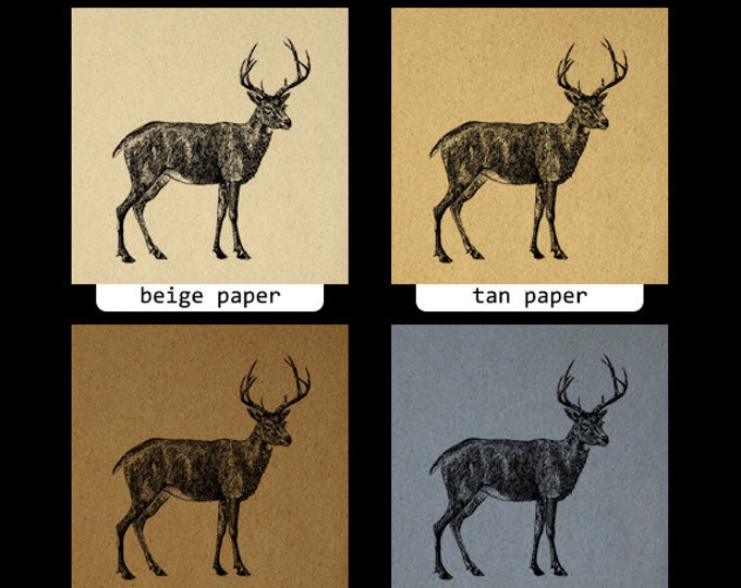 Digital Black Tailed Deer Image Graphic Printable Download Illustration Vintage Clip Art Jpg Png Eps HQ 300dpi No.2151