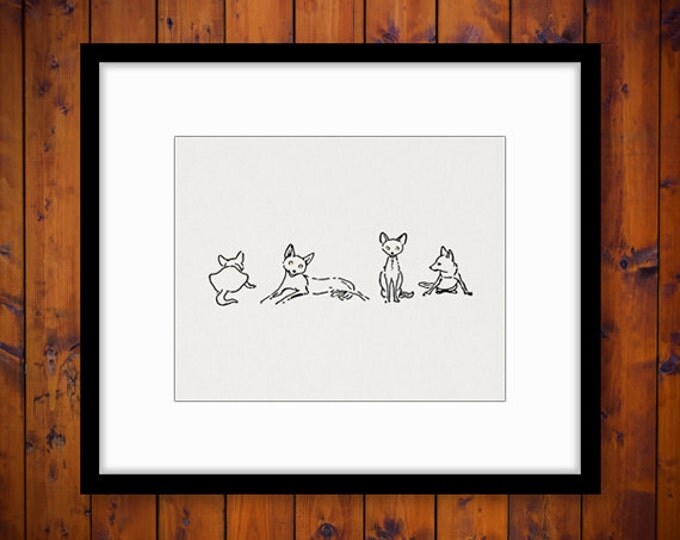 Digital Printable Four Foxes Download Cute Illustration Graphic Image Vintage Clip Art Jpg Png Eps HQ 300dpi No.890