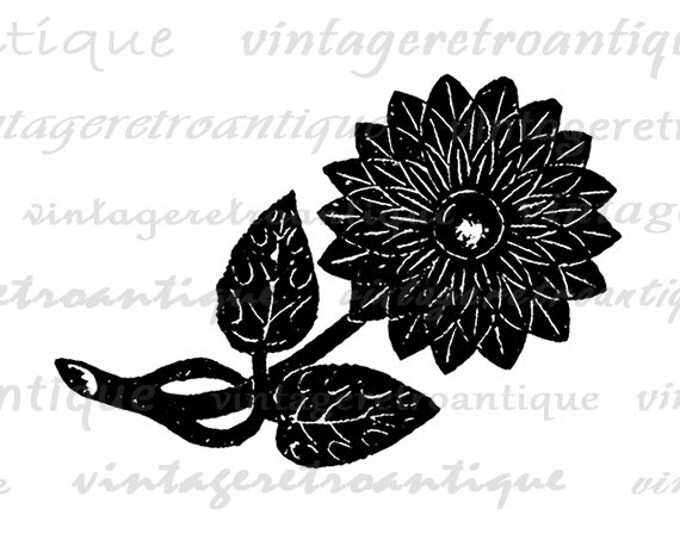 Printable Graphic Flower Image Illustration Download Digital Vintage Clip Art Jpg Png Eps HQ 300dpi No.1332