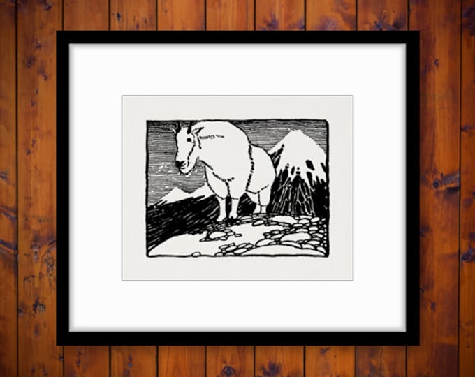 Digital Image Mountain Goat Printable Illustration Graphic Download Antique Clip Art Jpg Png Eps HQ 300dpi No.1648