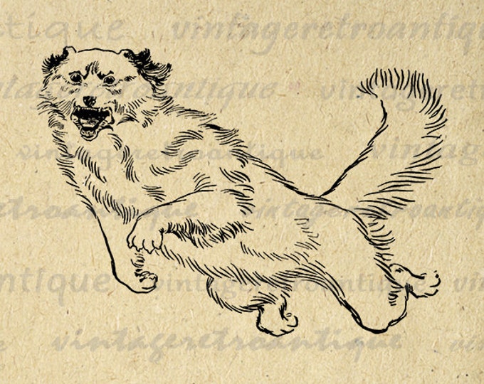 Printable Digital Leaping Dog Graphic Download Illustration Image Antique Clip Art Jpg Png Eps HQ 300dpi No.2182