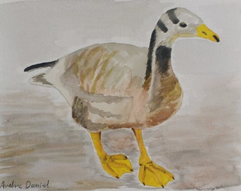 Bar Headed Goose - Original Watercolour Painting - Animals - A5
