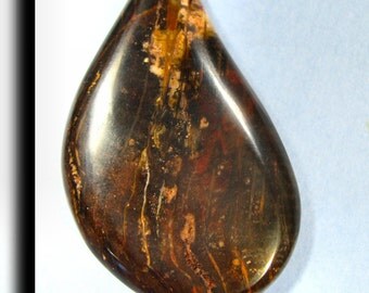 Petrified Palm Designer Cabochon 6179