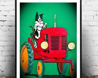 Farm Help! Border collie driving a vintage tractor art print
