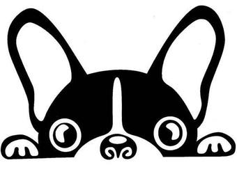 Boston Terrier Decal
