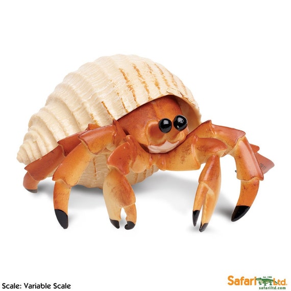 The Hermit Crab