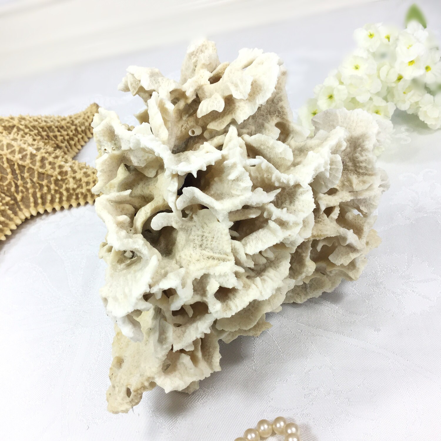 Large Natural Sea Coral, Dried Real Coral, Sea Coral Stone, Real Reef