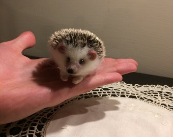 Needle felted hedgehog, soft sculpture, wool, felting animal, home decor, wool hedgehog, gift, plush toy