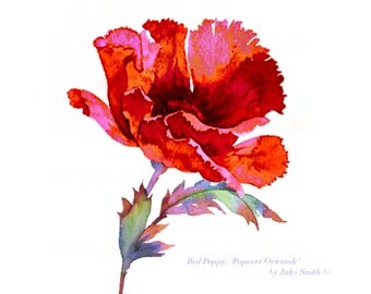 Watercolour Flower Painting RED POPPY Wall Art Print, Handmade Original Watercolour Flower Painting, Original Limited Edition Wall Art Print