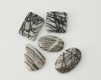 5 pcs Lot of Spider Web Jasper Cabochon