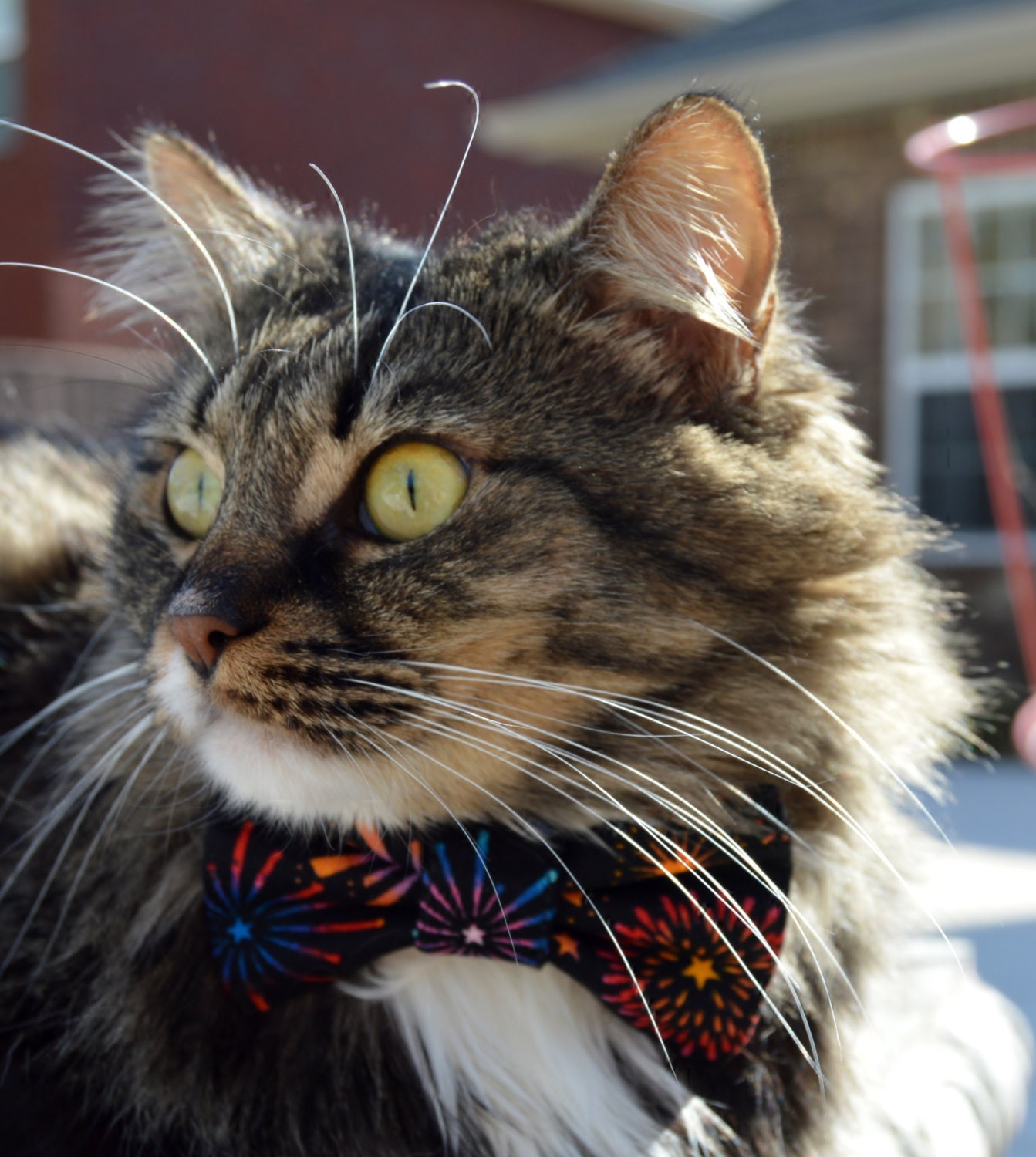 chinese new year bow tie