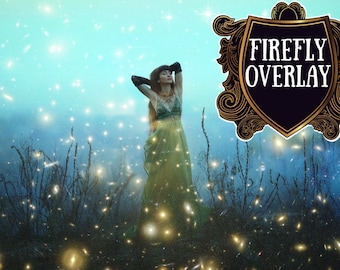 20 Forest Firefly overlays Fireflies Overlay fairy tale mystical lightning bug summer overlays Photoshop Digital