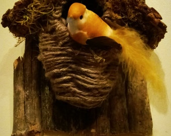 cockatoo bird house