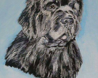 Ritratto personalizzato su ordinazione ESEMPIO - Custom pet portrait