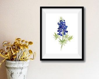 art print Bluebonnet, Blue bonnet watercolor print, wild flower art, Texas state flower, botanical watercolor, blue bloom, flowers artwork