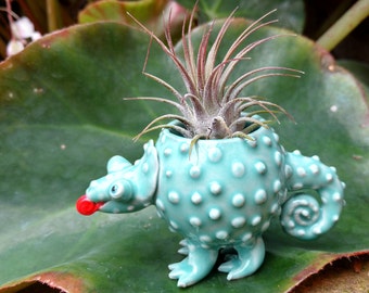 Chameleon Planter, Lizard Love, Succulents, Air Plants, Joyful Gift
