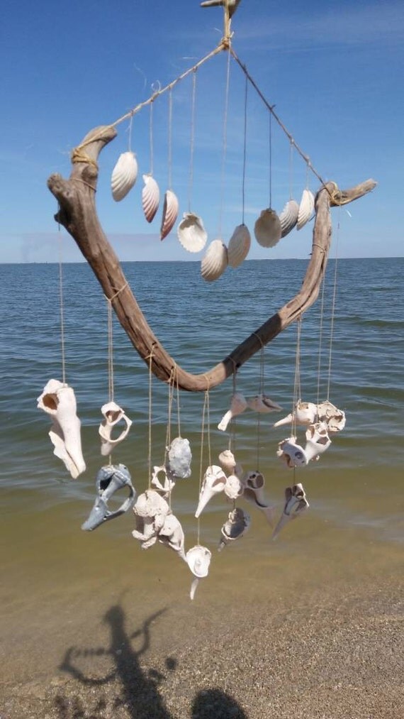 Extra Large Sea Shell Drift Wood Wind Chime Mobile Texas