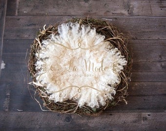 Newborn Digital Photography Background Twig Wreath Ivory Felt Curls Wood Floor
