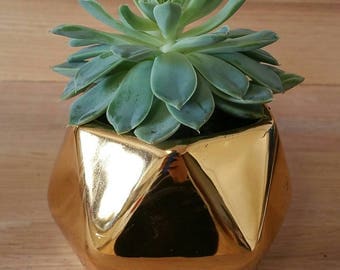 Modern Geometric Succulent Planter // Succulent Planter // Succulents // Houseplants // Planters // Indoor Planter //