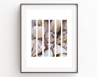 Sea Shell Print, Seashell Decor, Beach Shells Art, Sea Shells, Beach Photography, Beach Decor, Printable Decor, Nautical Decor, Download
