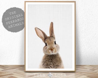 Rabbit Print Wall Art, Nursery Animal Decor, Woodland Animal, Digital Download, Large Poster, Woodland Baby Shower, Bunny, Forest Animal