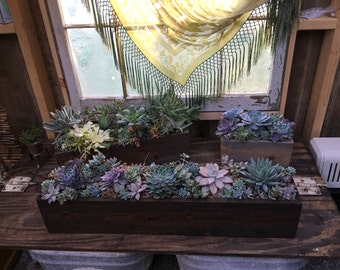 Rustic Succulent Centerpiece Arrangment Planter Box