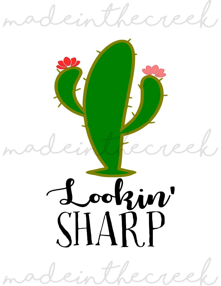 Free Free Cactus Flower Svg Free 584 SVG PNG EPS DXF File