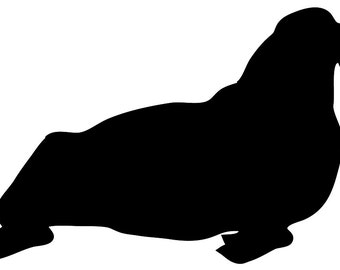 Loon Stencil Made from 4 Ply Mat Board