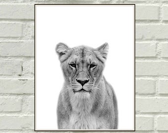 Lioness art | Etsy